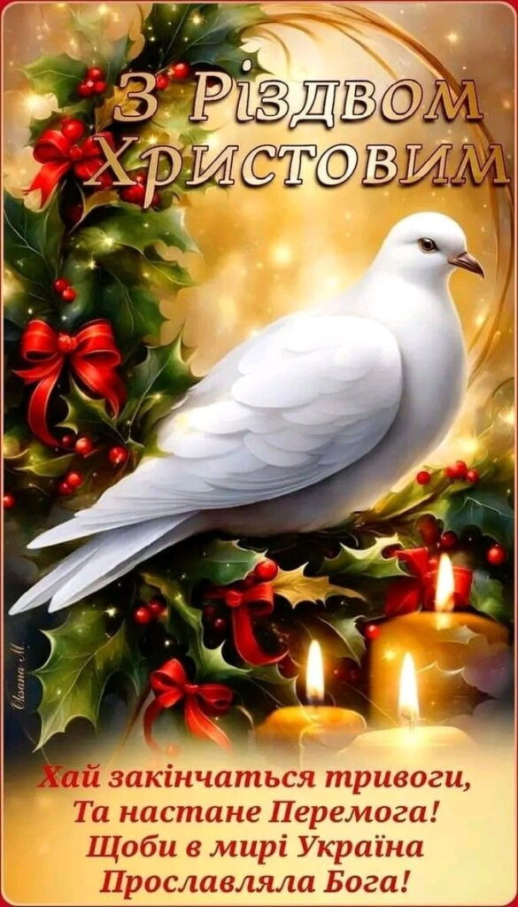 Картинка з Різдвом Христовим із зображенням голуба