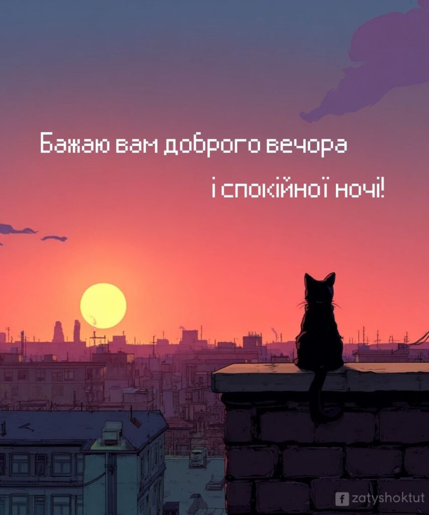 Силует кота на тлі вечірнього міста та рожевого неба з написом доброго вечора та спокійної ночі