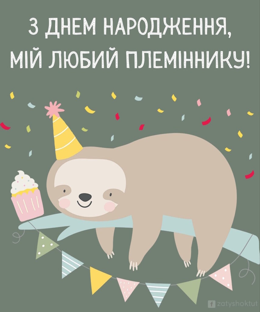 Лінивець у святковому капелюшку з кексом серед гірлянд